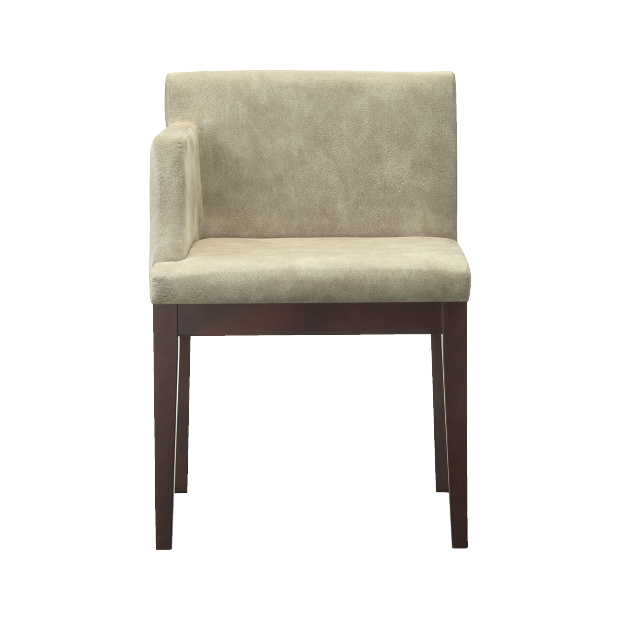 ザップ右アームイスBR