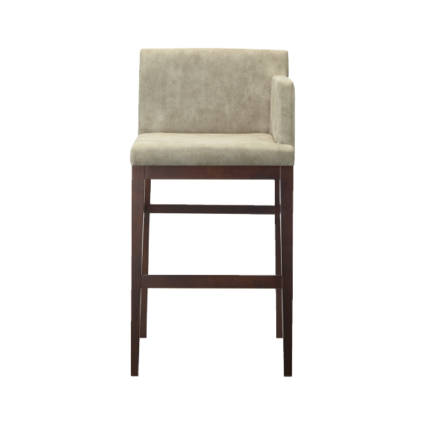 ザップ左アームスタンドBR