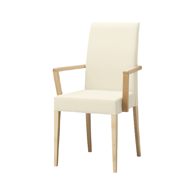 リーブルアームイスA-NA