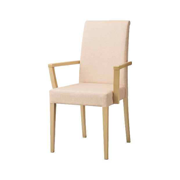 リーブルアームイスC-NA