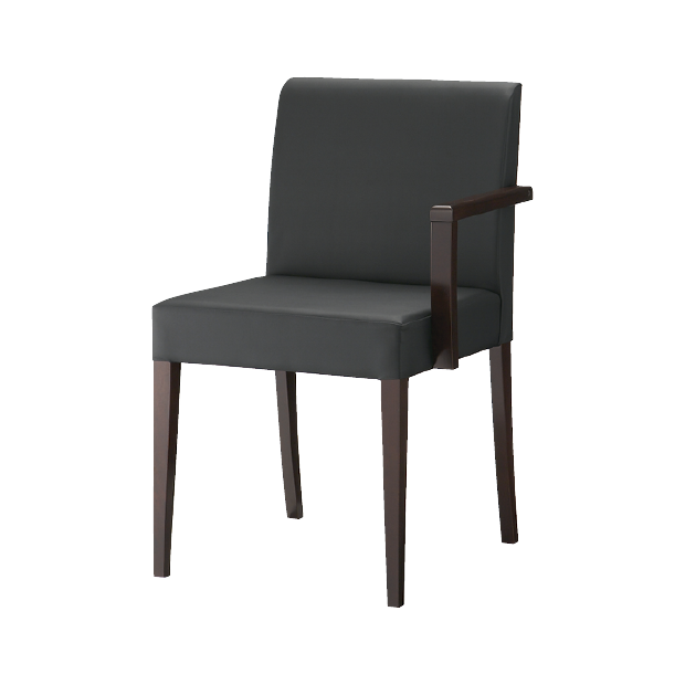 リーブル左アームイスⅡA-BR