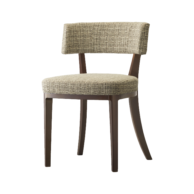 エクシスイスBR