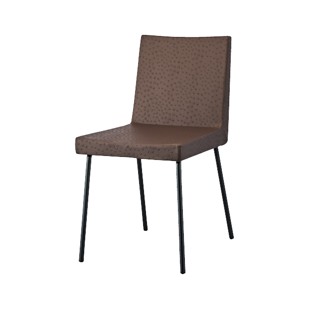 シャルトイスBL