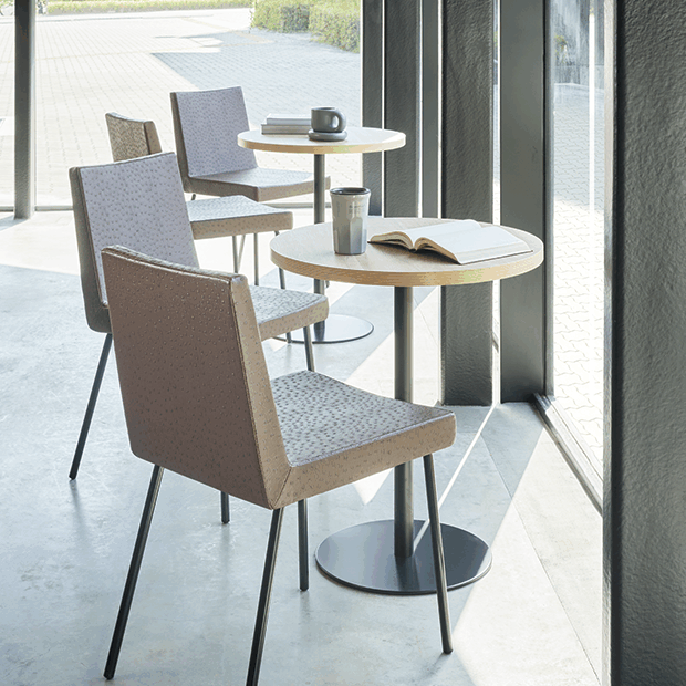 シャルトイスBL