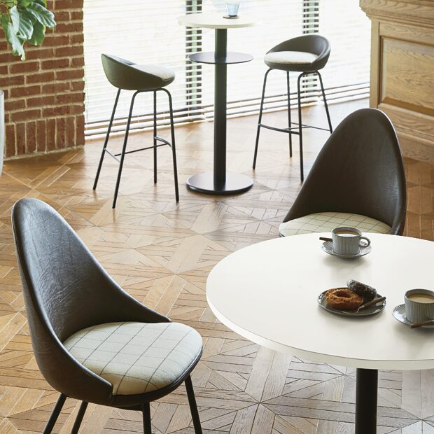 ディスクイスBL